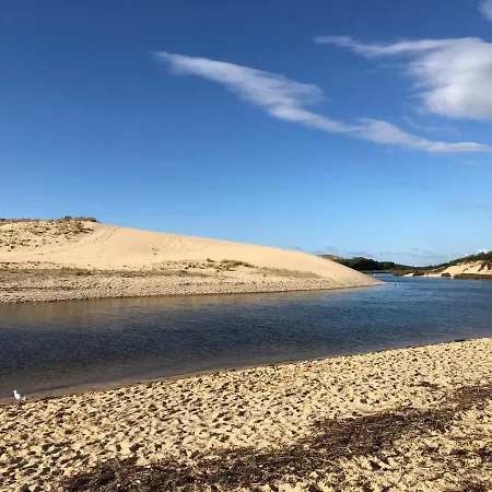 Chaleureux A 500m De L'ocean Et 150m Du Golf Moliets-plage 公寓 莫列马阿
